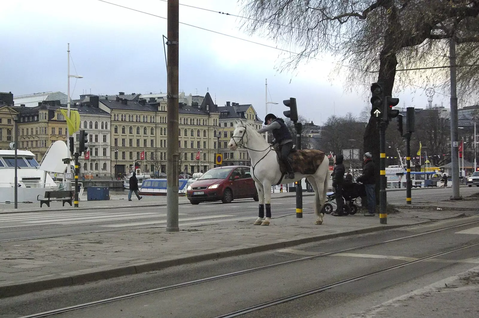 A horse waits to cross the road at a pedestrian crossing, from A Few Hours in Skansen, Stockholm, Sweden - 17th December 2007