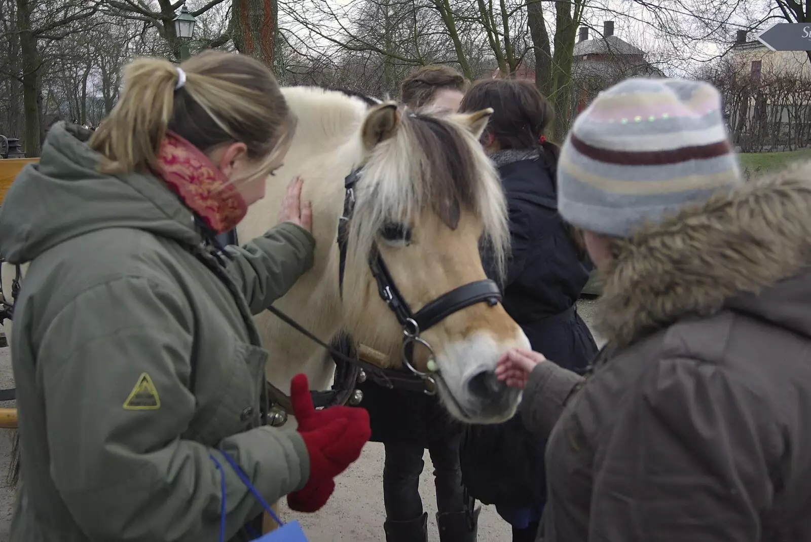 Isobel gets friendly with a pony, from A Few Hours in Skansen, Stockholm, Sweden - 17th December 2007