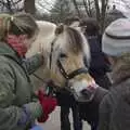 Isobel gets friendly with a pony, A Few Hours in Skansen, Stockholm, Sweden - 17th December 2007