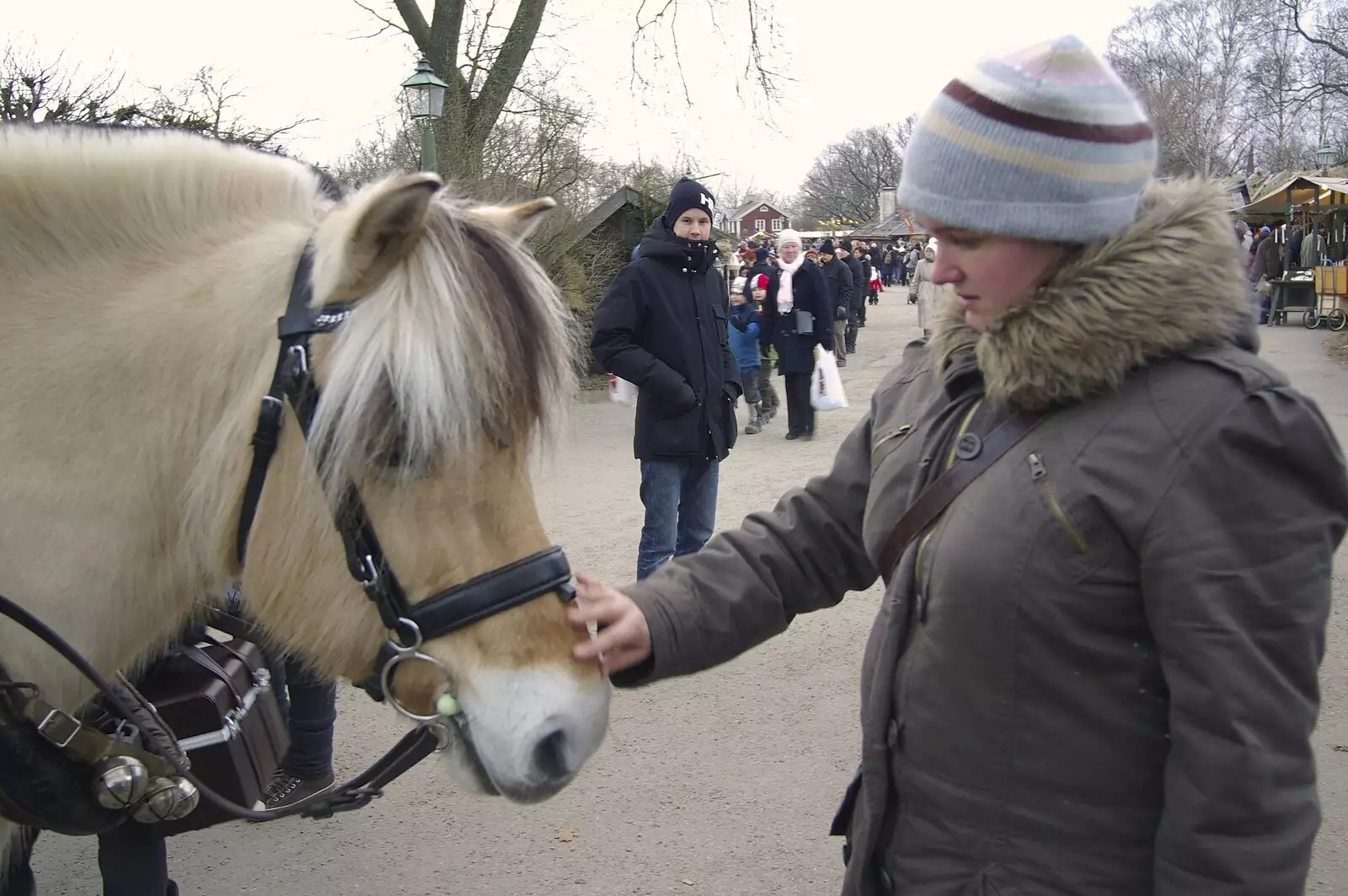 Isobel gives a pony a scratch, from A Few Hours in Skansen, Stockholm, Sweden - 17th December 2007