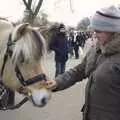 Isobel gives a pony a scratch, A Few Hours in Skansen, Stockholm, Sweden - 17th December 2007