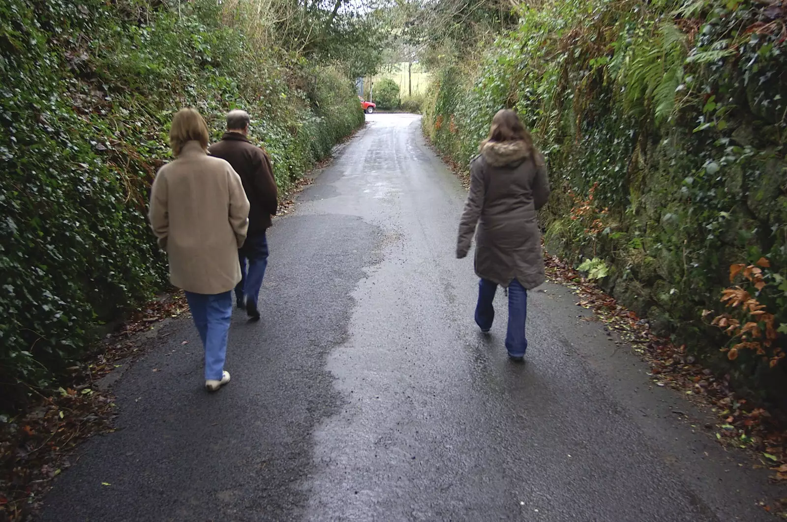 Down a Devon lane, from Christmas at Sis and Matt's, Chagford, Devon - 25th December 2007