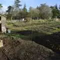 Winter allotments, Matt's Allotment and Meldon Hill, Chagford, Devon - 26th December 2007