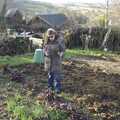 Isobel scopes out some of last year's beetroots, Matt's Allotment and Meldon Hill, Chagford, Devon - 26th December 2007