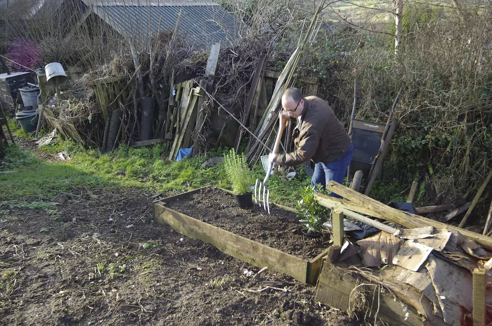 Temporarily digging in some herb pots, from Matt's Allotment and Meldon Hill, Chagford, Devon - 26th December 2007