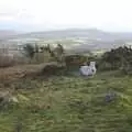 The resting pony revisited, Matt's Allotment and Meldon Hill, Chagford, Devon - 26th December 2007