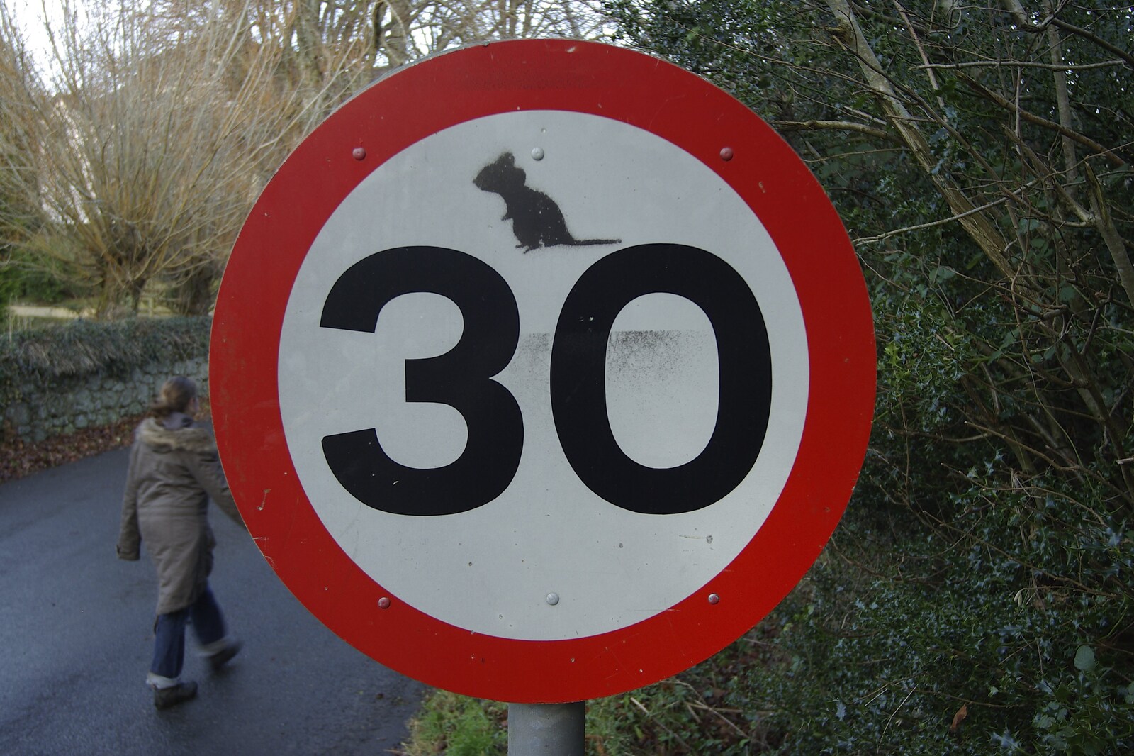 Someone has decorated a 30mph sign from Matt's Allotment and Meldon Hill, Chagford, Devon - 26th December 2007