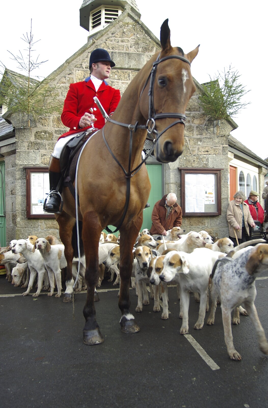 Looking up to a horse from A Boxing Day Hunt, Chagford, Devon - 26th December 2007