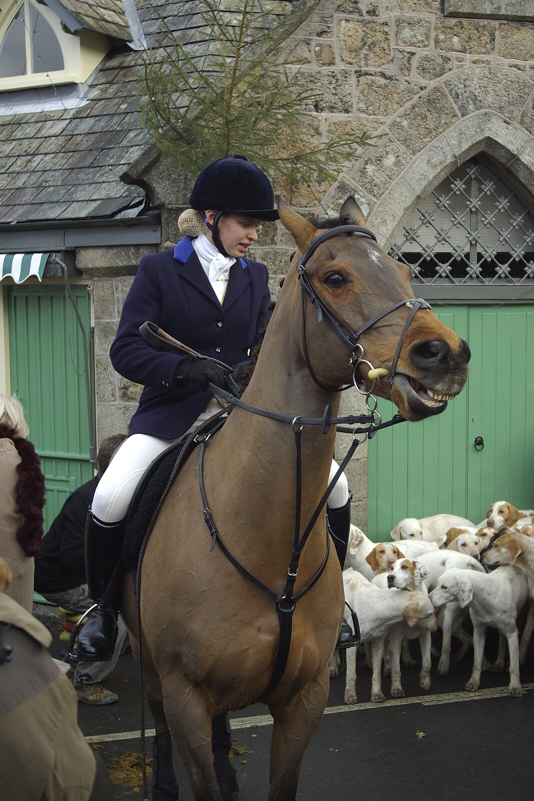 A horse has a laff from A Boxing Day Hunt, Chagford, Devon - 26th December 2007