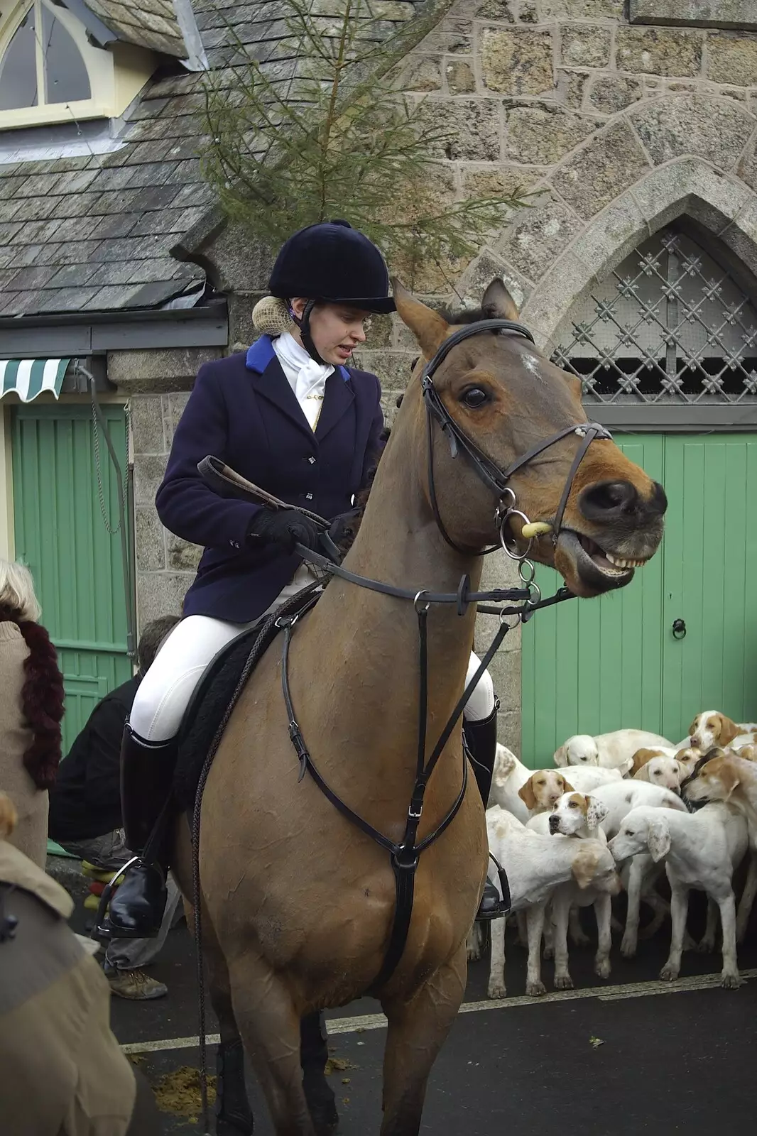 A horse has a laff, from A Boxing Day Hunt, Chagford, Devon - 26th December 2007