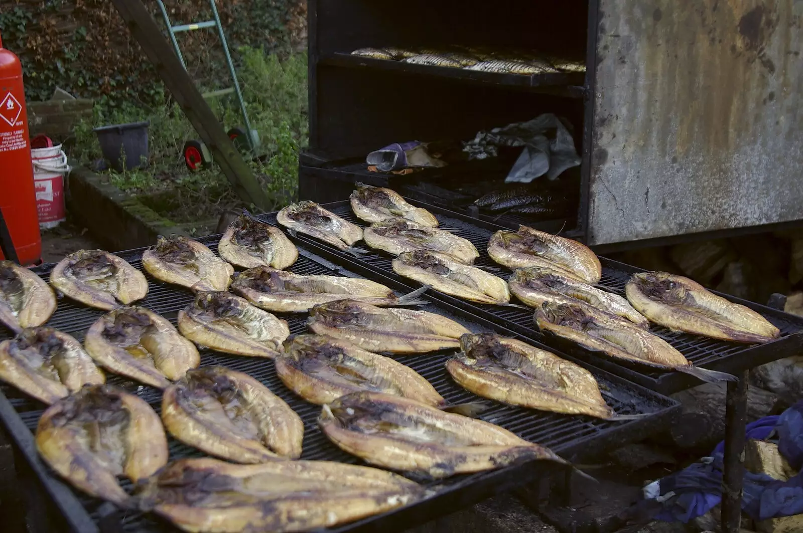 A tray of cooling kippers outside the smokehouse, from A Post-Christmas Trip to Orford, Suffolk - 29th December 2007