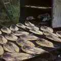 A tray of cooling kippers outside the smokehouse, A Post-Christmas Trip to Orford, Suffolk - 29th December 2007