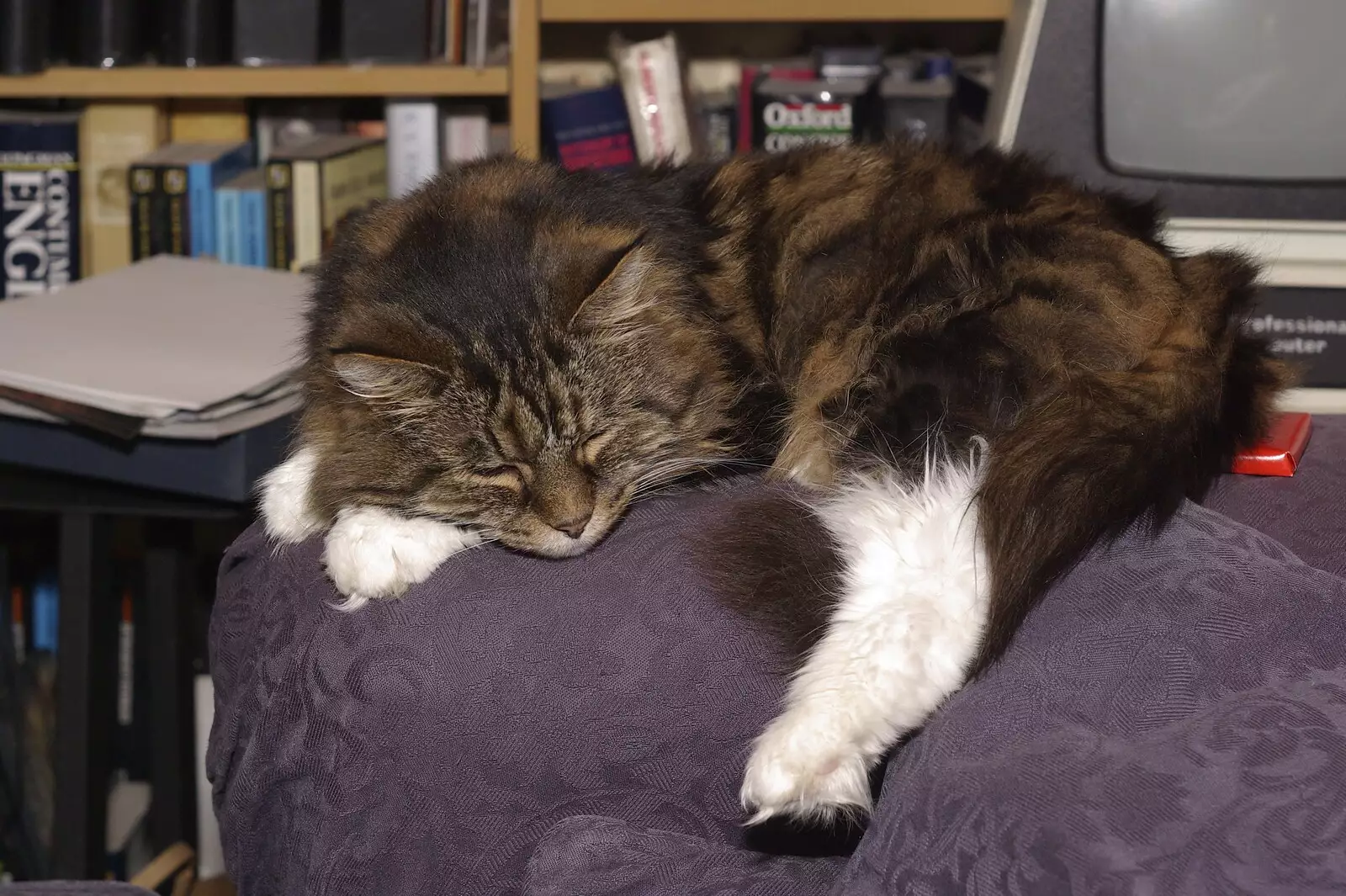 Sophie asleep on the sofa, from A Post-Christmas Trip to Orford, Suffolk - 29th December 2007