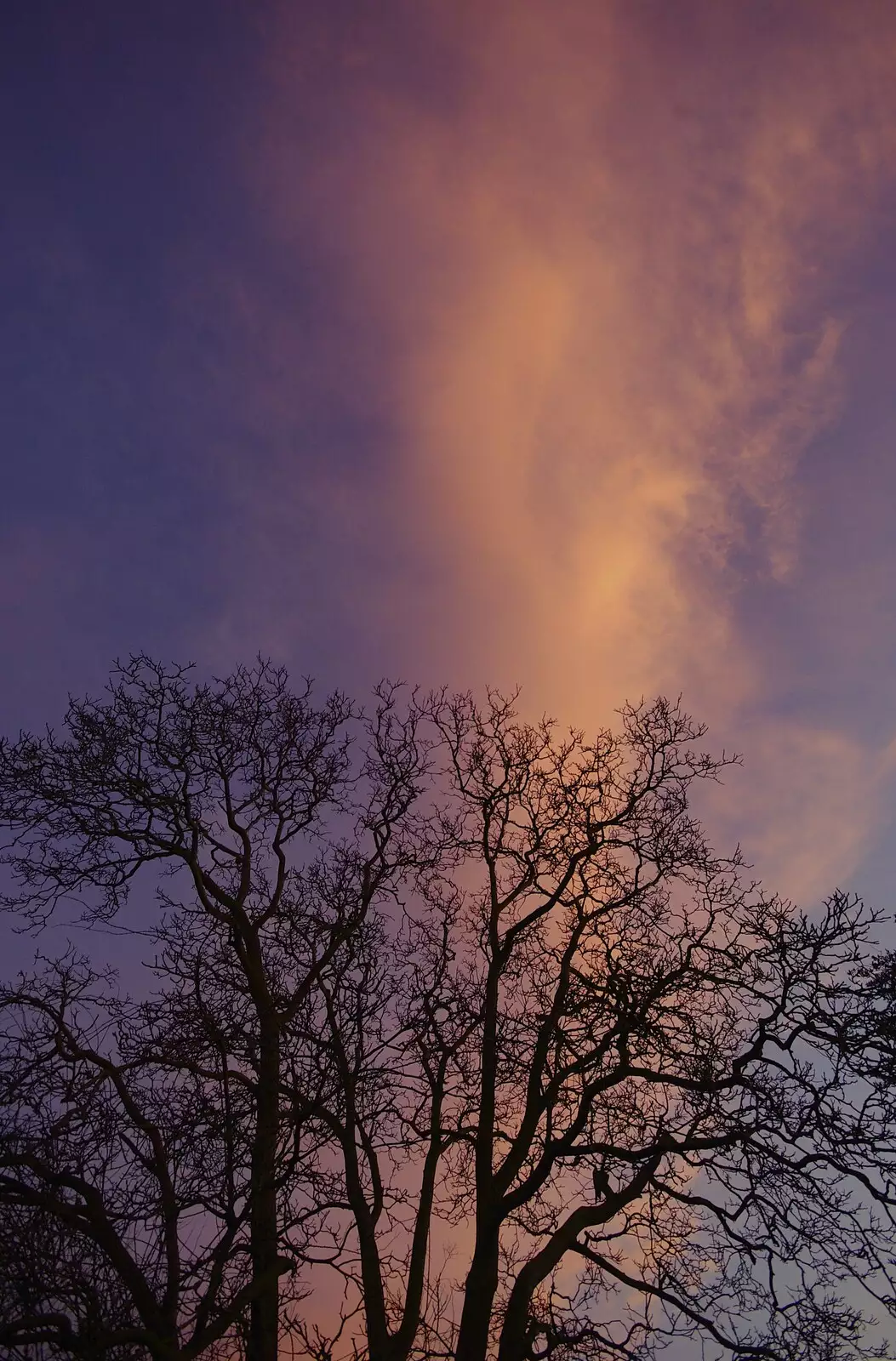 The clouds turn purple and pink, from Organ Practice, Swiss Fondue and Curry With Gov, Thorndon, Cambridge and Diss - 27th January 2008