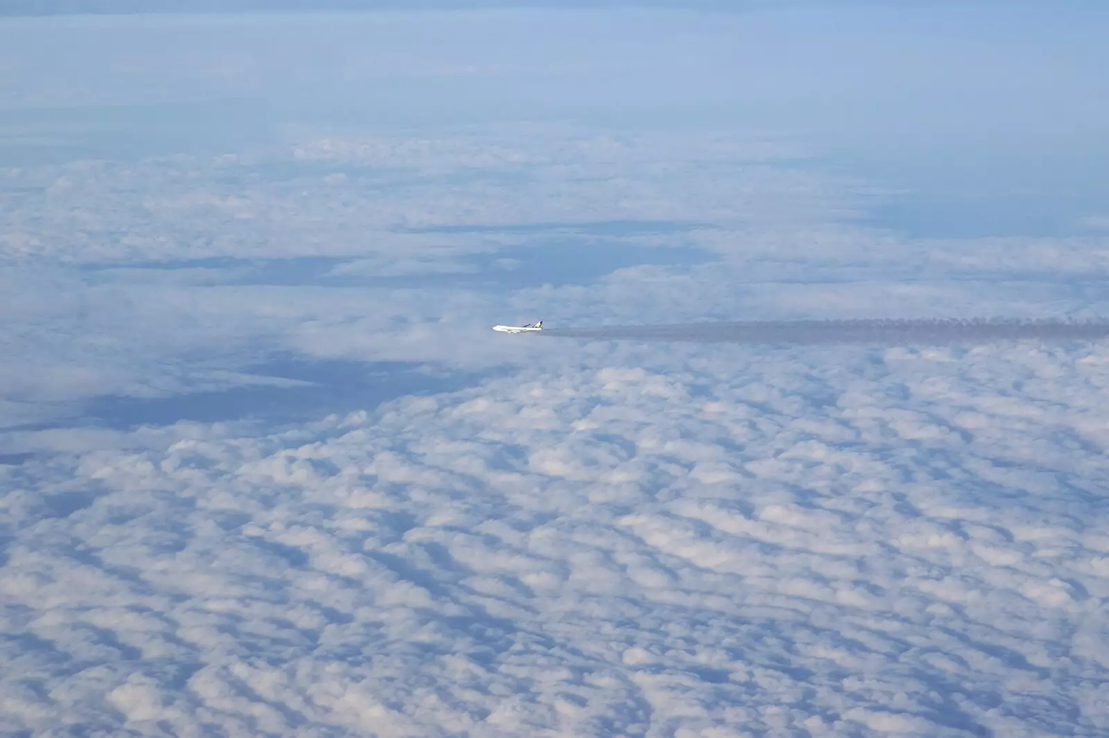 A Singapore Airlines 747 cruises past, from San Diego 8: The Beaches of Torrey Pines, and Ramona, California, USA - 29th February 2008