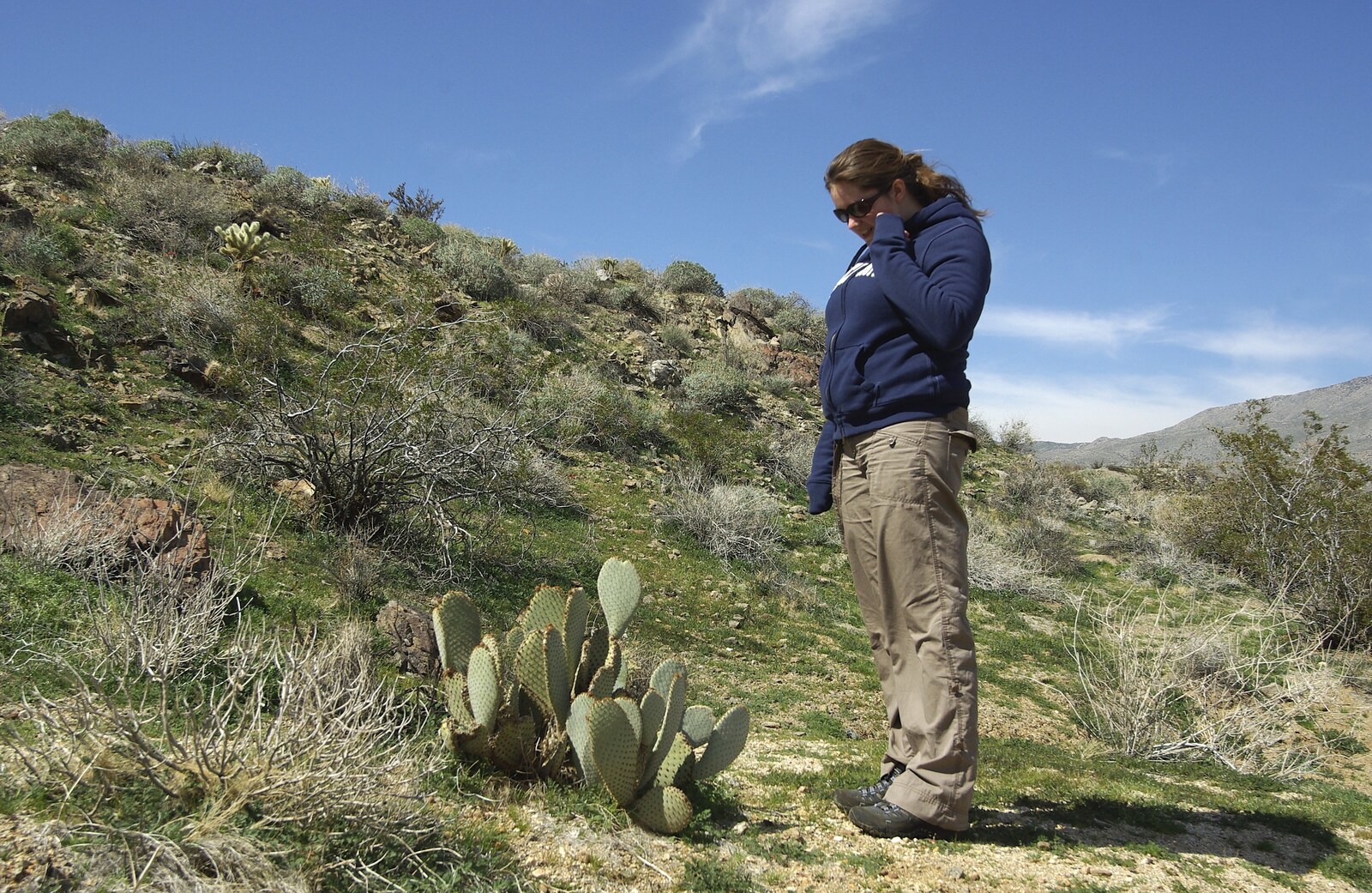The End of the World: Julian to the Salton Sea and Back, California, US - 1st March 2008: Isobel inspects some prickly-pear cacti