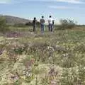 Sightseers roam around in the flowers, The End of the World: Julian to the Salton Sea and Back, California, US - 1st March 2008