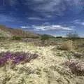 Purple flowers under blue skies, The End of the World: Julian to the Salton Sea and Back, California, US - 1st March 2008