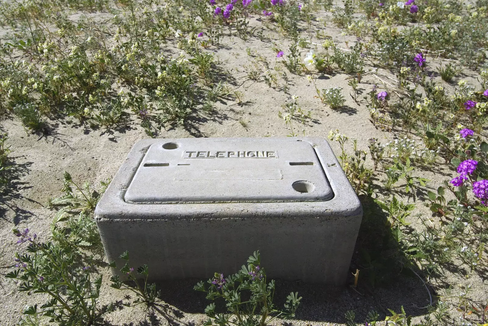 A box marked 'telephone' isn't ringing, from The End of the World: Julian to the Salton Sea and Back, California, US - 1st March 2008