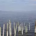 Salt-encrusted sticks in the Salton Sea, The End of the World: Julian to the Salton Sea and Back, California, US - 1st March 2008