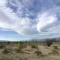 Ocotillo plants in the desert, The End of the World: Julian to the Salton Sea and Back, California, US - 1st March 2008