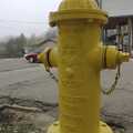 A yellow Julian fire hydrant
