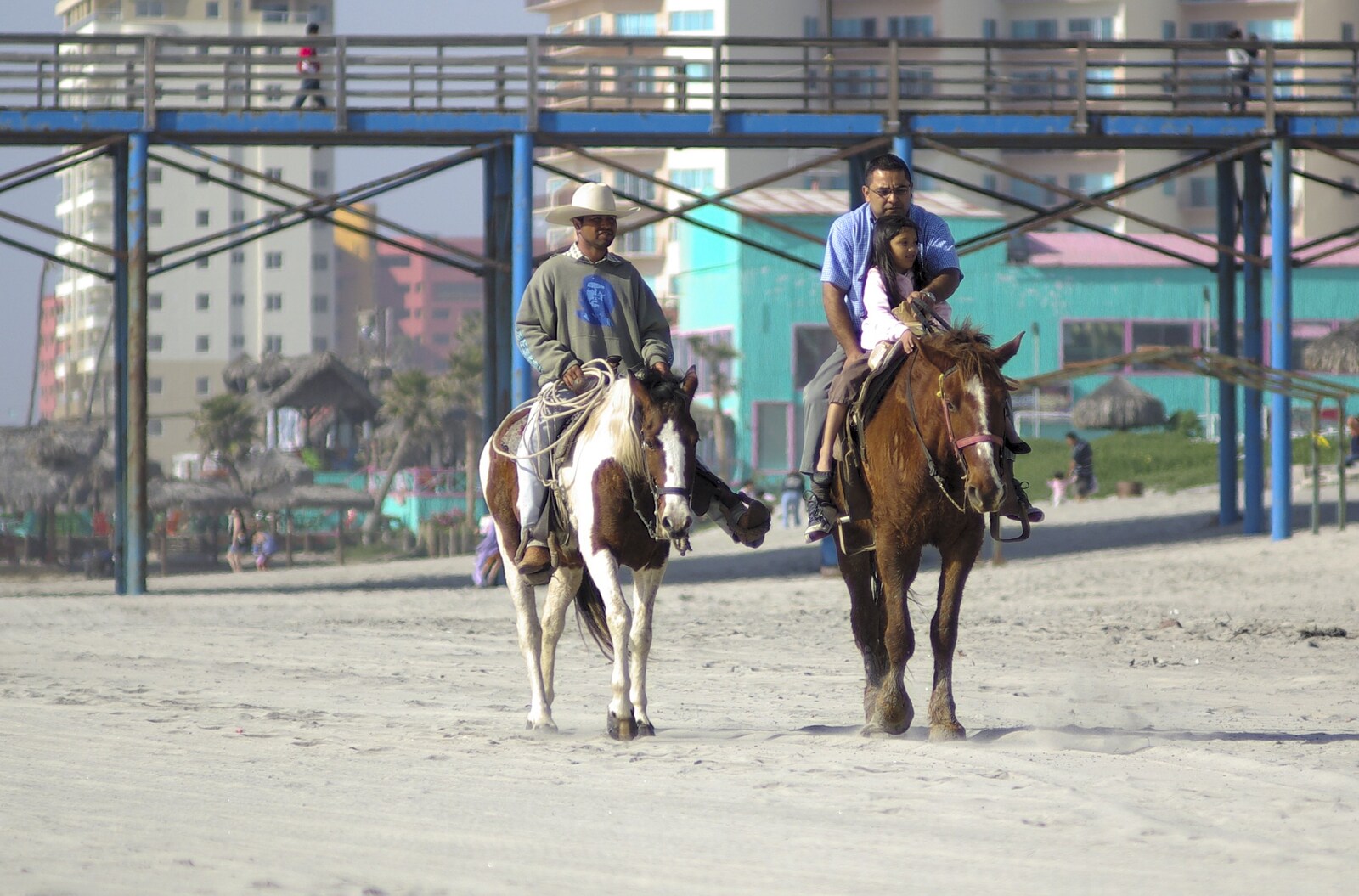 Rosarito and Tijuana, Baja California, Mexico - 2nd March 2008: Ponies trot on the beach
