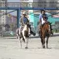 Ponies trot on the beach, Rosarito and Tijuana, Baja California, Mexico - 2nd March 2008