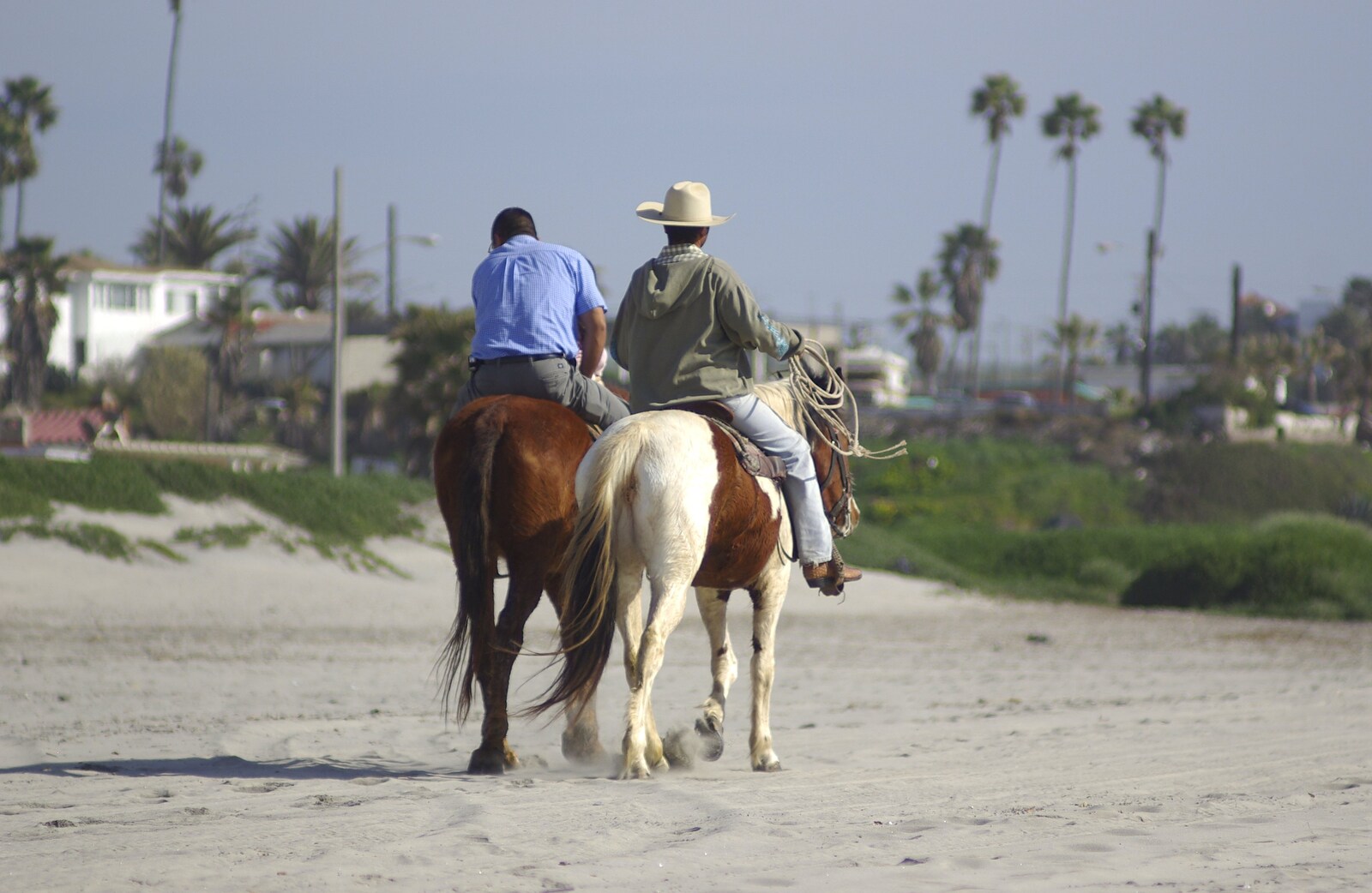 Rosarito and Tijuana, Baja California, Mexico - 2nd March 2008: A couple of ponies trot along the beach