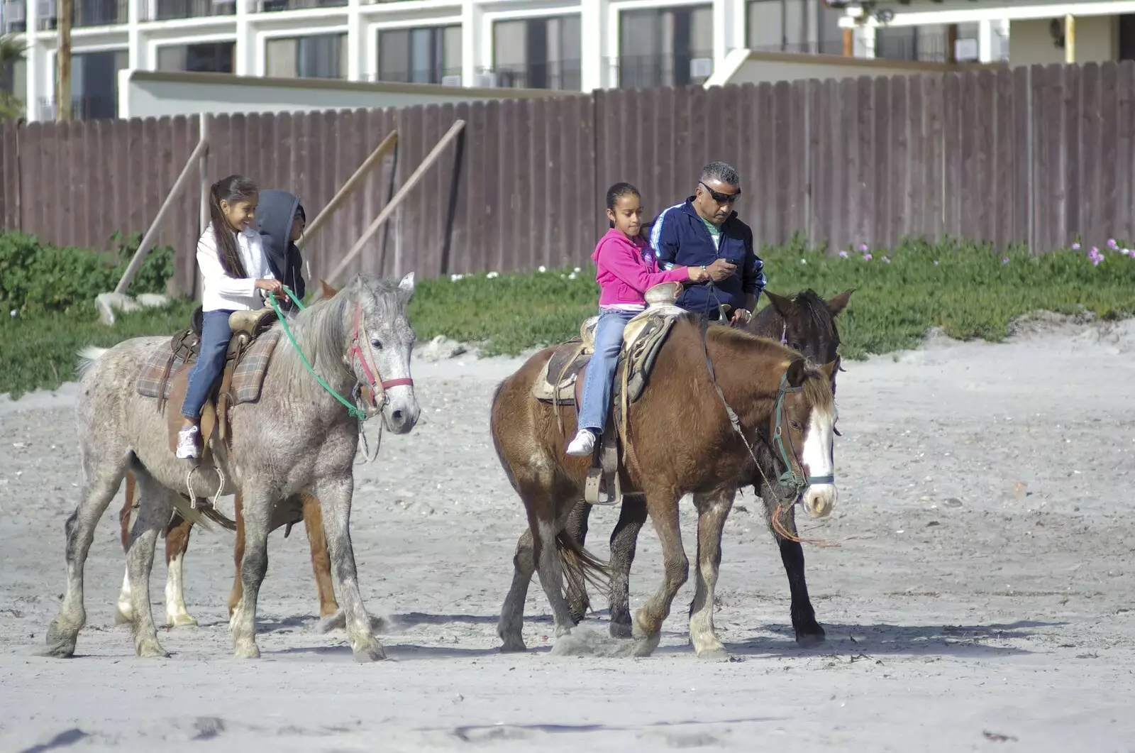 Another pair of ponies trot on the beach, from Rosarito and Tijuana, Baja California, Mexico - 2nd March 2008