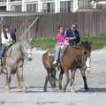 Another pair of ponies trot on the beach, Rosarito and Tijuana, Baja California, Mexico - 2nd March 2008