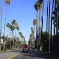 Tall palm trees on Hollywood Boulevard, San Diego and Hollywood, California, US - 3rd March 2008