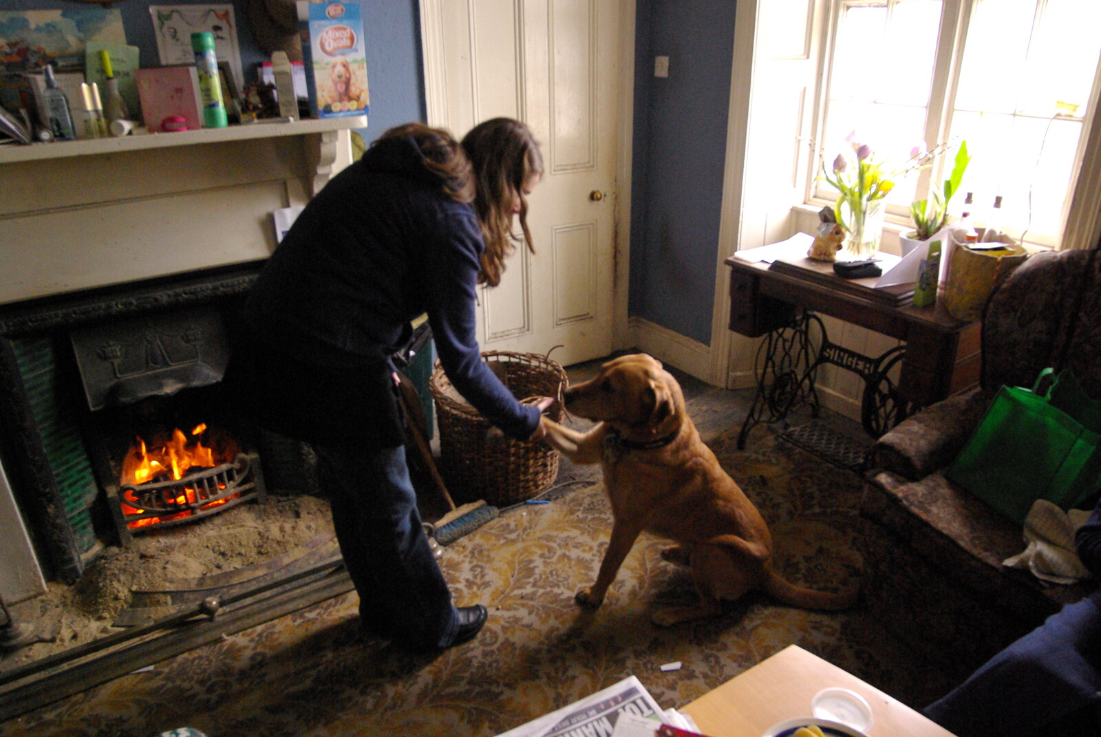 Easter in Dublin, Ireland - 21st March 2008: Isobel shakes paws with Oscar