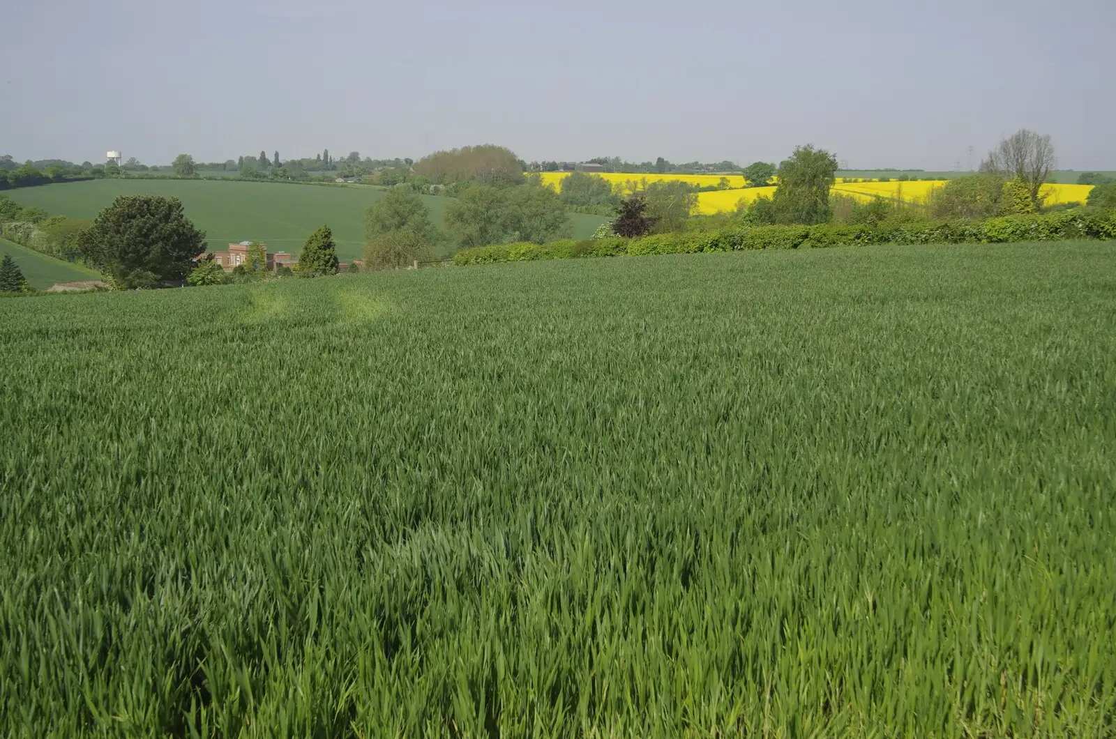 The green fields of Essex, from The BSCC Weekend Away, Thaxted, Essex - 10th May 2008