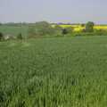 2008 The green fields of Essex