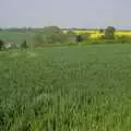 The green fields of Essex, The BSCC Weekend Away, Thaxted, Essex - 10th May 2008