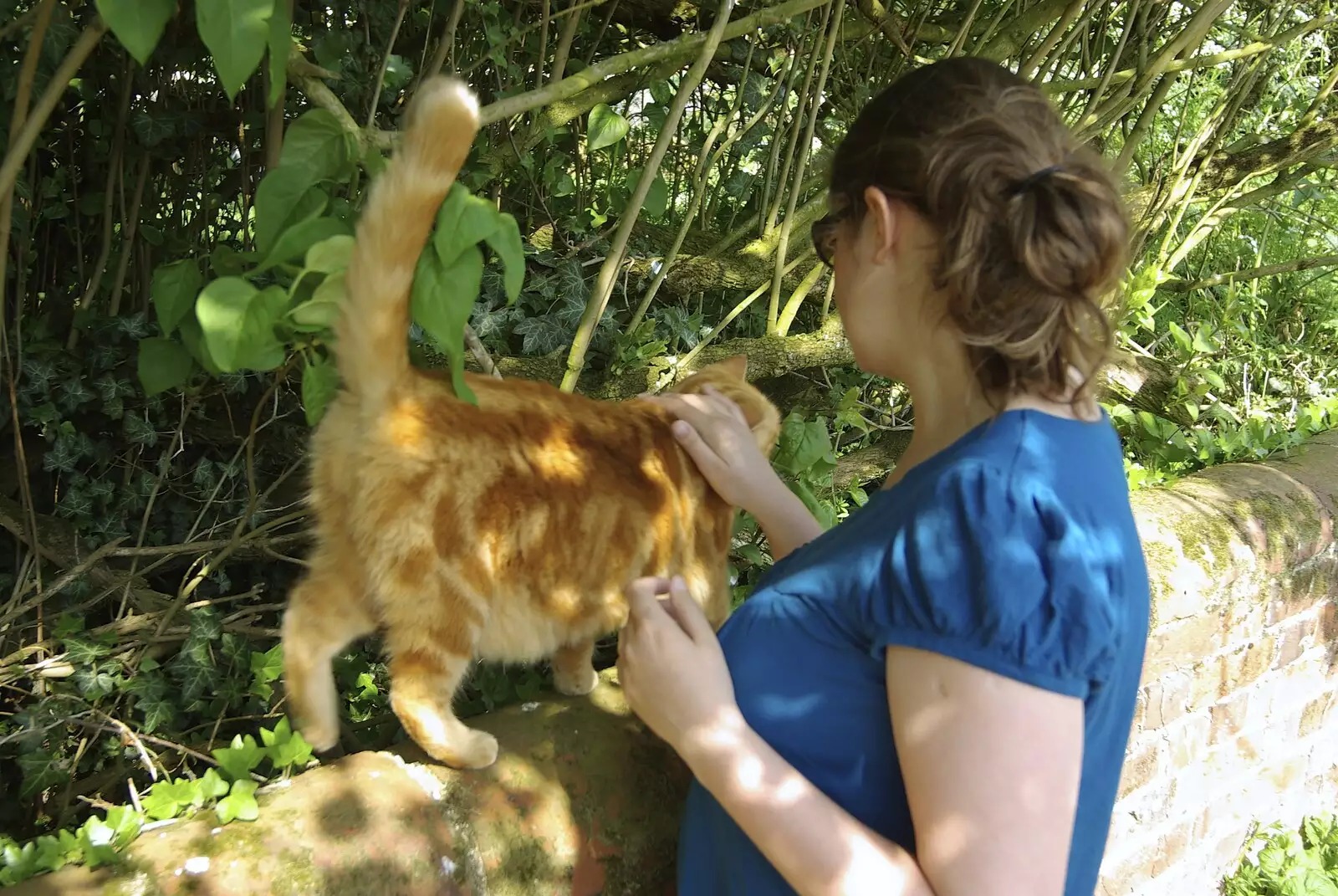 Isobel strokes the ginger cat, from The BSCC Weekend Away, Thaxted, Essex - 10th May 2008