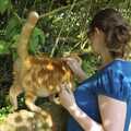 2008 Isobel strokes the ginger cat