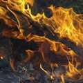 Dancing flames as a heap of detritus burns