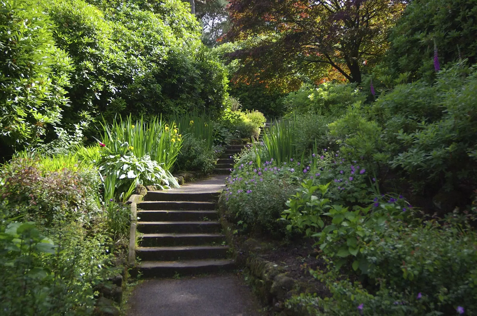 Oft-walked as a child: a path through the gardens, from Qualcomm at Alton Towers, Staffordshire - 29th June 2008