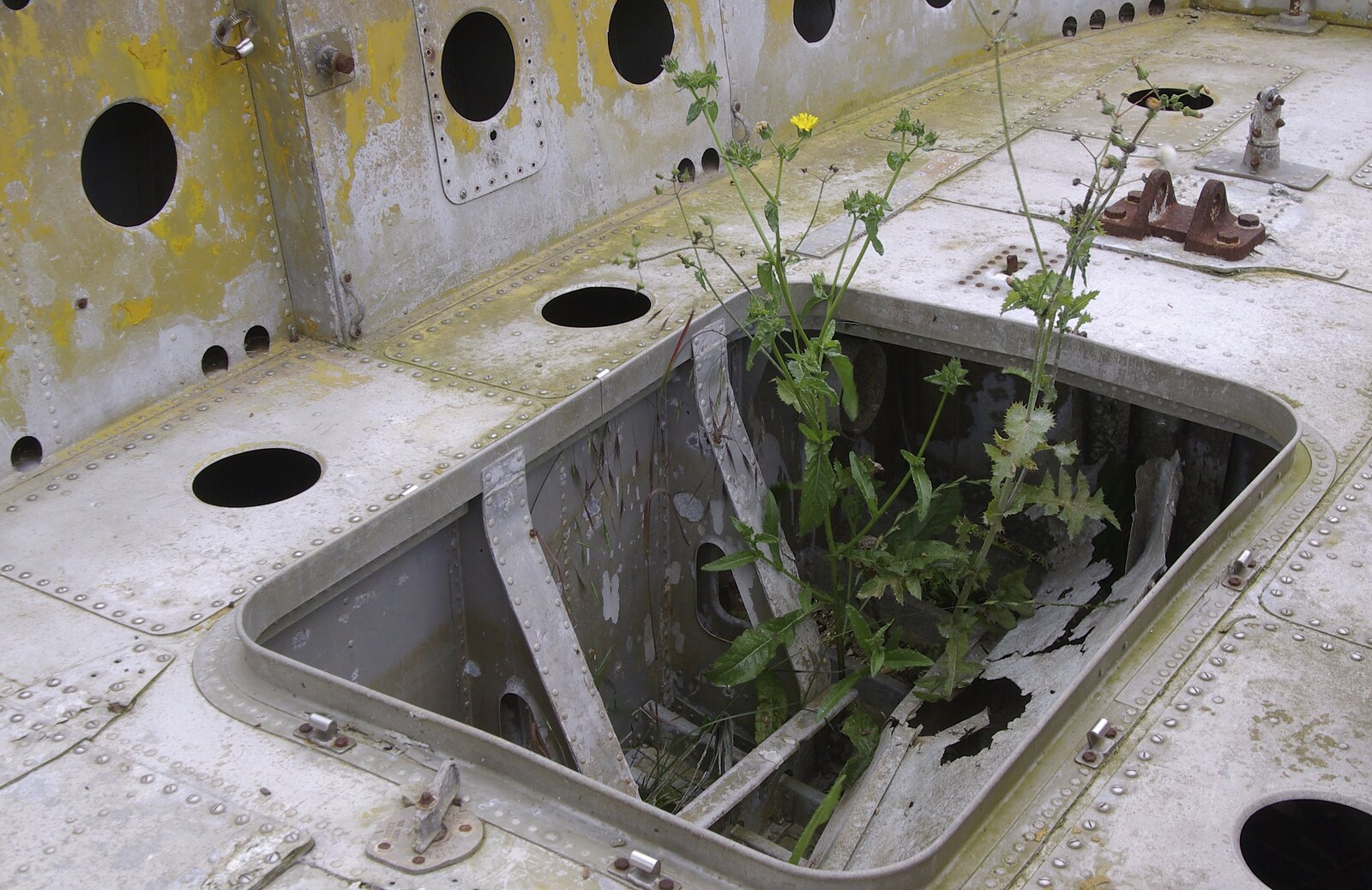 An MTB boat has foliage growing up through it from Debach And the B-17 "Liberty Belle", Suffolk - 12th July 2008