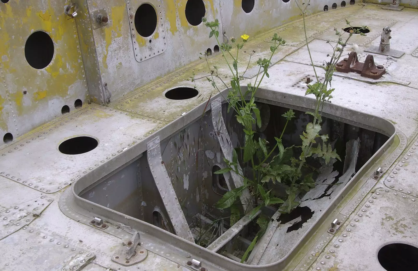 An MTB boat has foliage growing up through it, from Debach And the B-17 "Liberty Belle", Suffolk - 12th July 2008