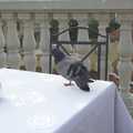 A Sojourn in The Eternal City, Rome, Italy - 22nd July 2008, A pigeon visits for breakfast