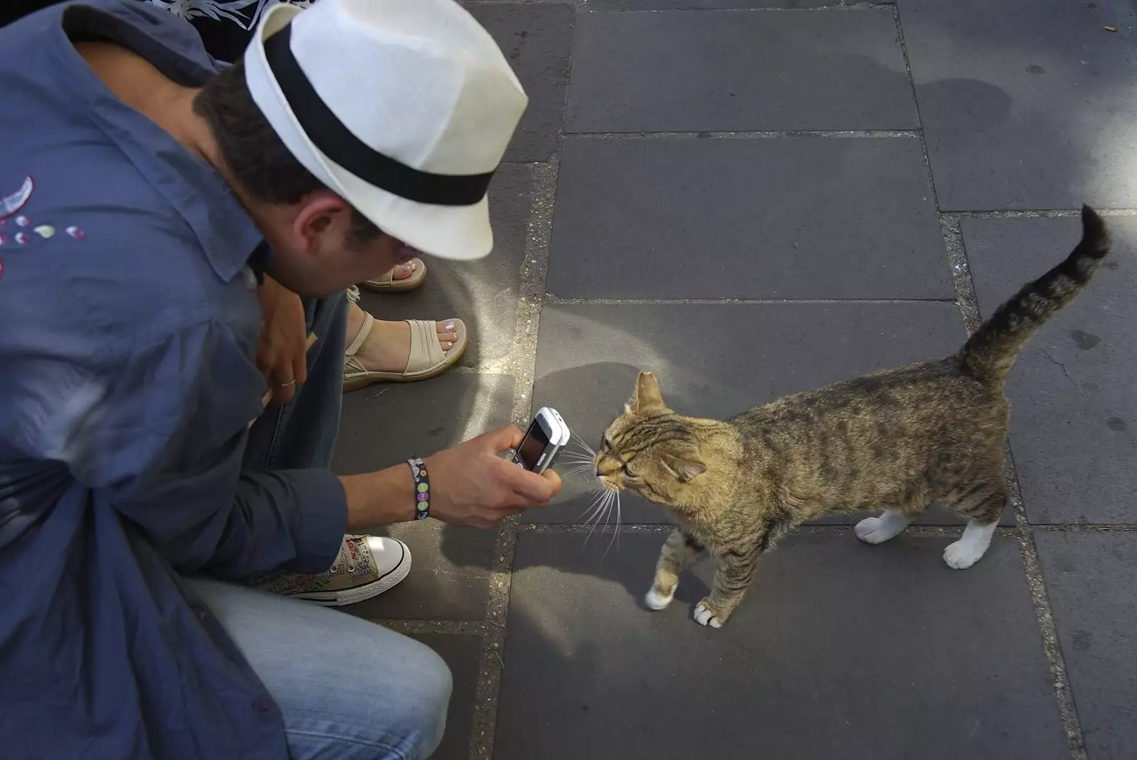 Pieter takes a close-up of a Roman cat, from A Sojourn in The Eternal City, Rome, Italy - 22nd July 2008