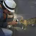 Pieter takes a close-up of a Roman cat, A Sojourn in The Eternal City, Rome, Italy - 22nd July 2008