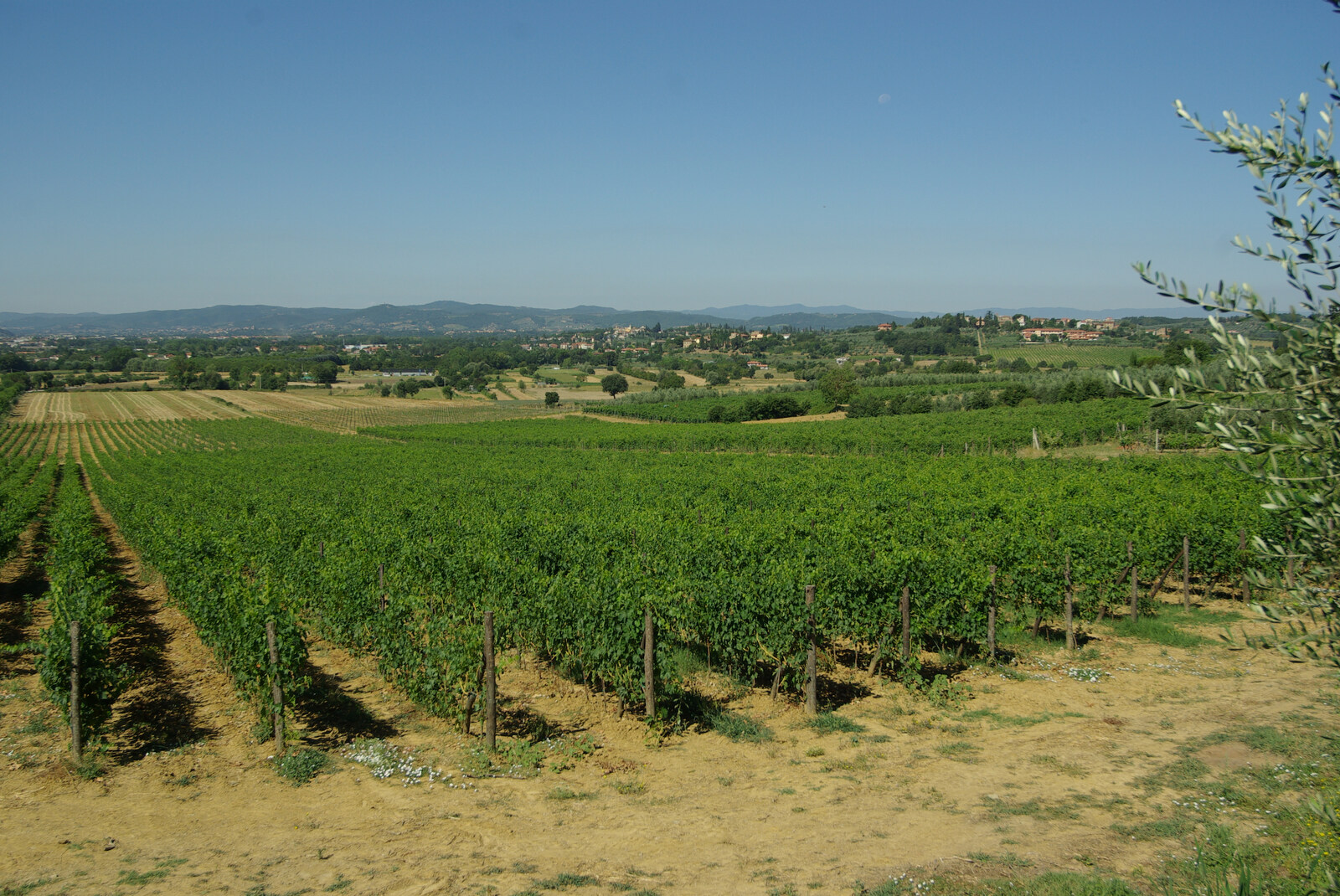 The view over the vineyards, as seen from the car park from Tenuta Il Palazzo in Arezzo, Tuscany, Italy - 22nd July 2008