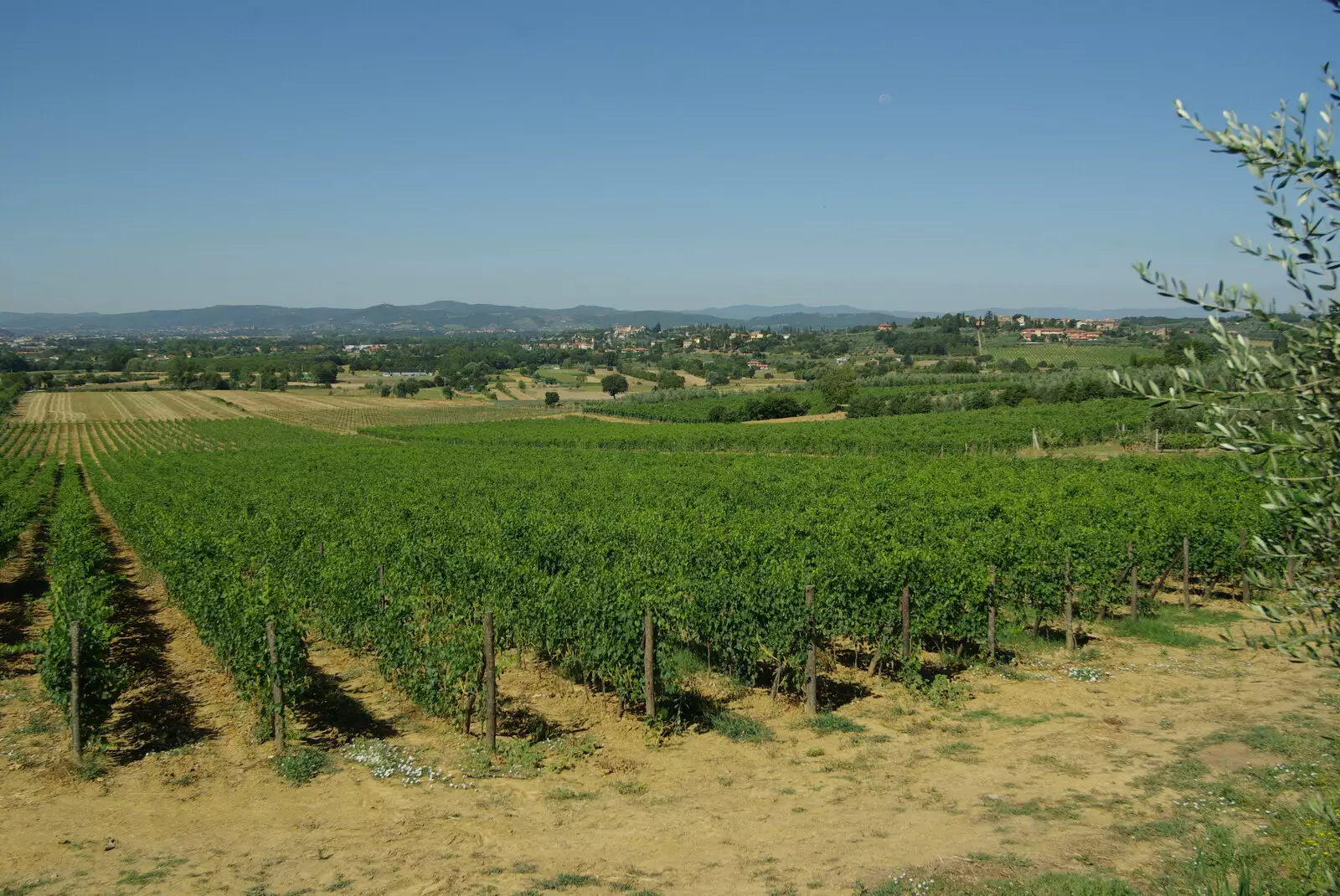 The view over the vineyards, as seen from the car park, from Tenuta Il Palazzo in Arezzo, Tuscany, Italy - 22nd July 2008