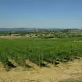 The view over the vineyards, as seen from the car park, Tenuta Il Palazzo in Arezzo, Tuscany, Italy - 22nd July 2008