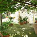 Tenuta Il Palazzo in Arezzo, Tuscany, Italy - 22nd July 2008, Our shaded patio