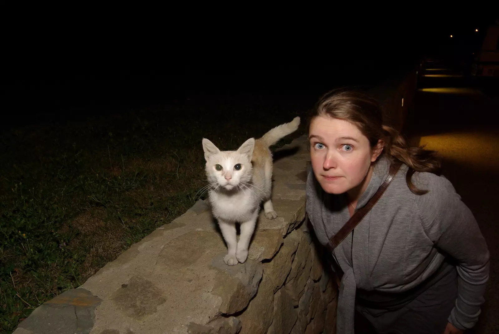 Isobel finds a cat, from Tenuta Il Palazzo in Arezzo, Tuscany, Italy - 22nd July 2008